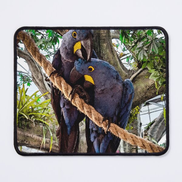 Item preview, Hyacinth Macaws designed and sold by nesivlad.