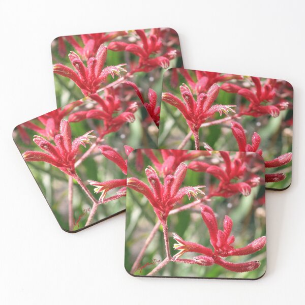 Item preview, Red Kangaroo Paws designed and sold by Cynthia Dix.