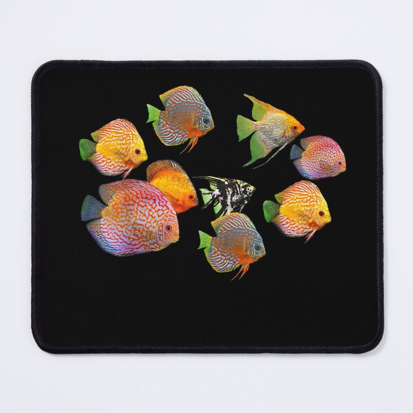 Item preview, Discus Fish Underwater Sea Funny Ocean Fishes Shirt designed and sold by AnhornBlaz.