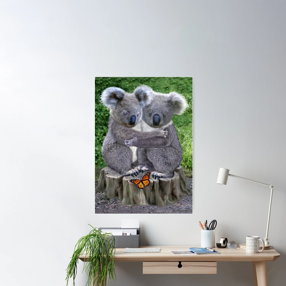 Baby Koala Bear Huggies Poster for Sale by GLENN HOLBROOK