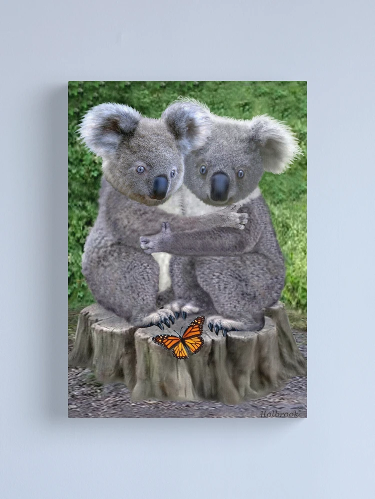 Baby Koala Jimmy - Koala Painting for sale- Koala Adoption- by KRISTIN  KOSSI ART