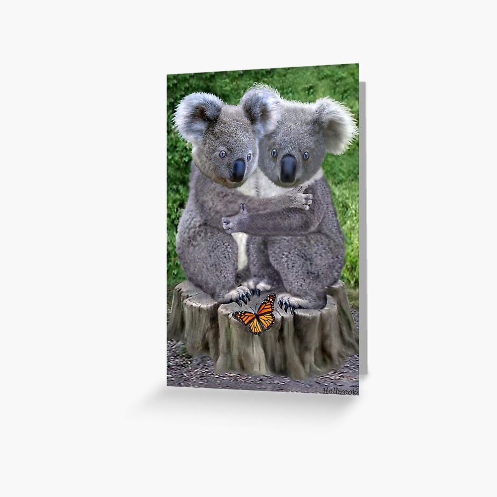 baby-koala-bear-huggies-greeting-card-for-sale-by-holbrookart-redbubble