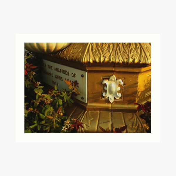 Golden Detail Art Print