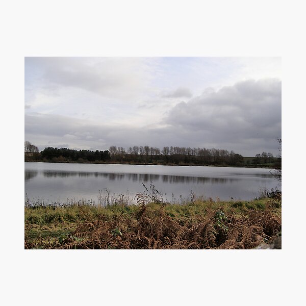 Item preview, Bradgate Park designed and sold by ibrookes.