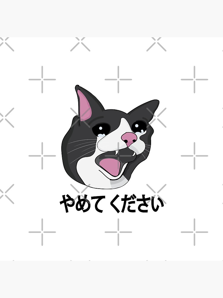 "Yamete Kudasai Meme Crying Cat Yamero Japanese Words" Pin by ...