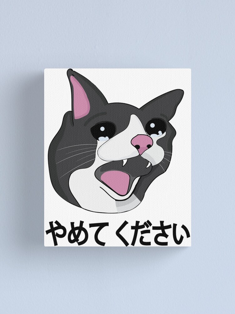 Yamete Kudasai Meme Crying Cat Yamero Japanese Words Greeting Card for  Sale by alltheprints