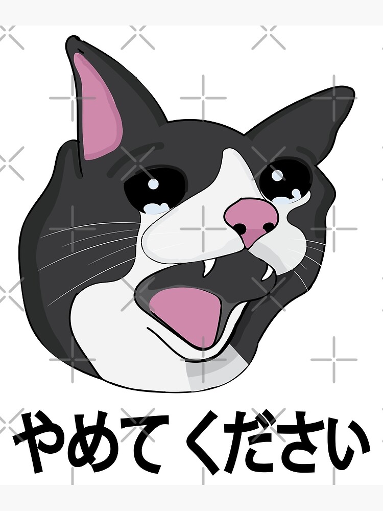 Yamete Kudasai >_< - Anime Memes For Weeb
