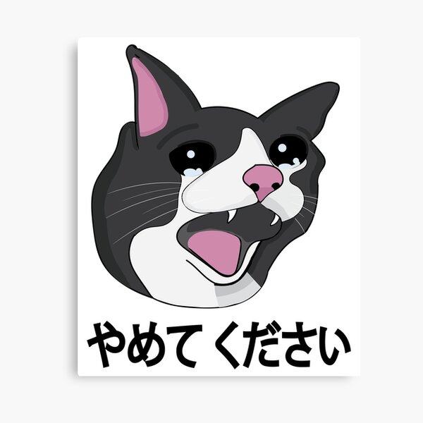 Yamete Kudasai Meme Crying Screaming Cat Yamero Japanese - Cat Memes -  T-Shirt
