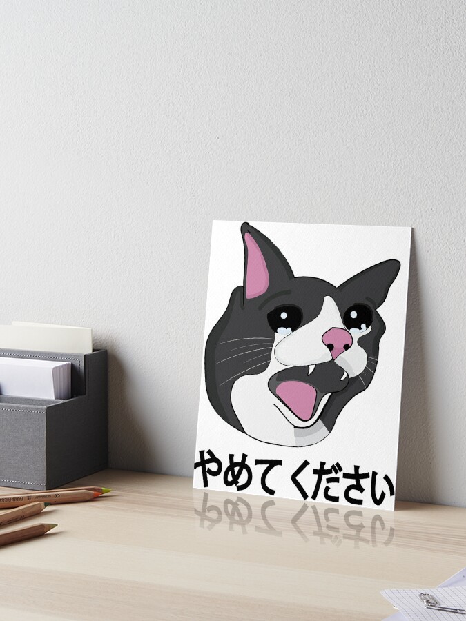 Yamete Kudasai Meme Crying Cat Yamero Japanese Words Greeting Card for  Sale by alltheprints