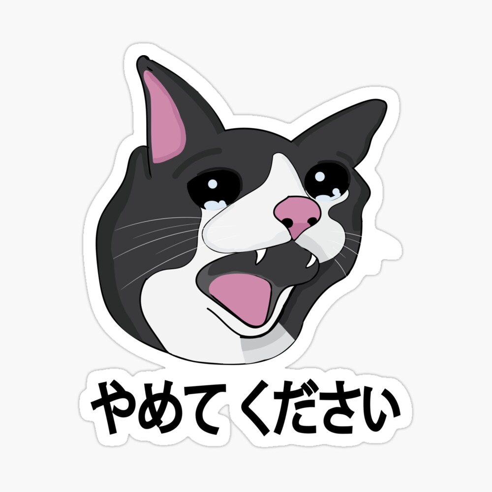 Yamete Kudasai Meme Crying Cat Yamero Japanese Words | Greeting Card