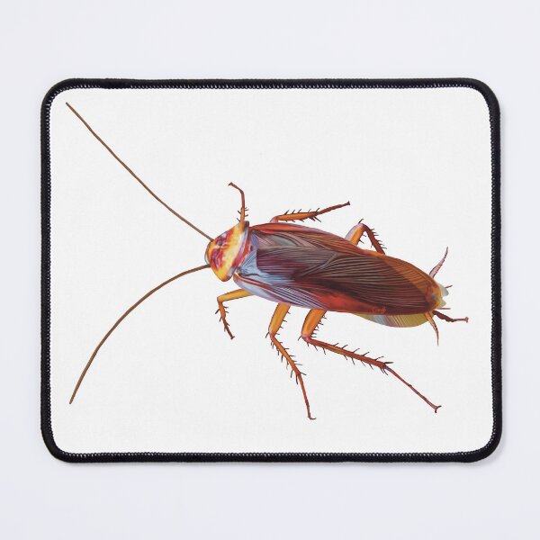 Item preview, Creepy crawly cockroach. Realistic illustration of cockroach. Cockroach artwork. Unique gift. designed and sold by PlumpPlumStudio.
