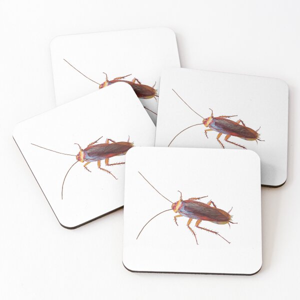 Item preview, Creepy crawly cockroach. Realistic illustration of cockroach. Cockroach artwork. Unique gift. designed and sold by PlumpPlumStudio.