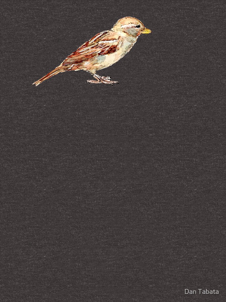 Sparrow by dmtab