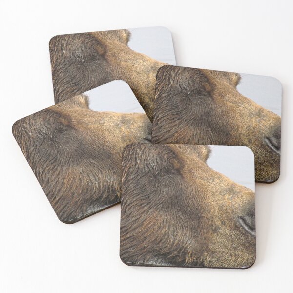 Item preview, Napping Grizzly Bear designed and sold by csenior.