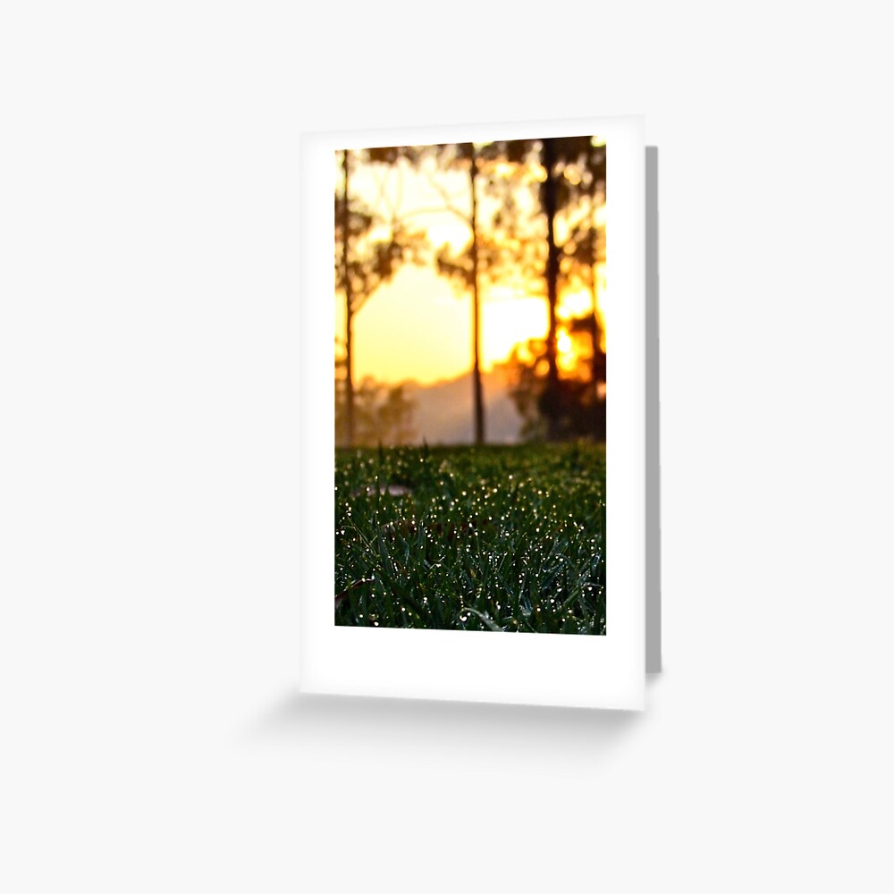 Item preview, Greeting Card designed and sold by csenior.