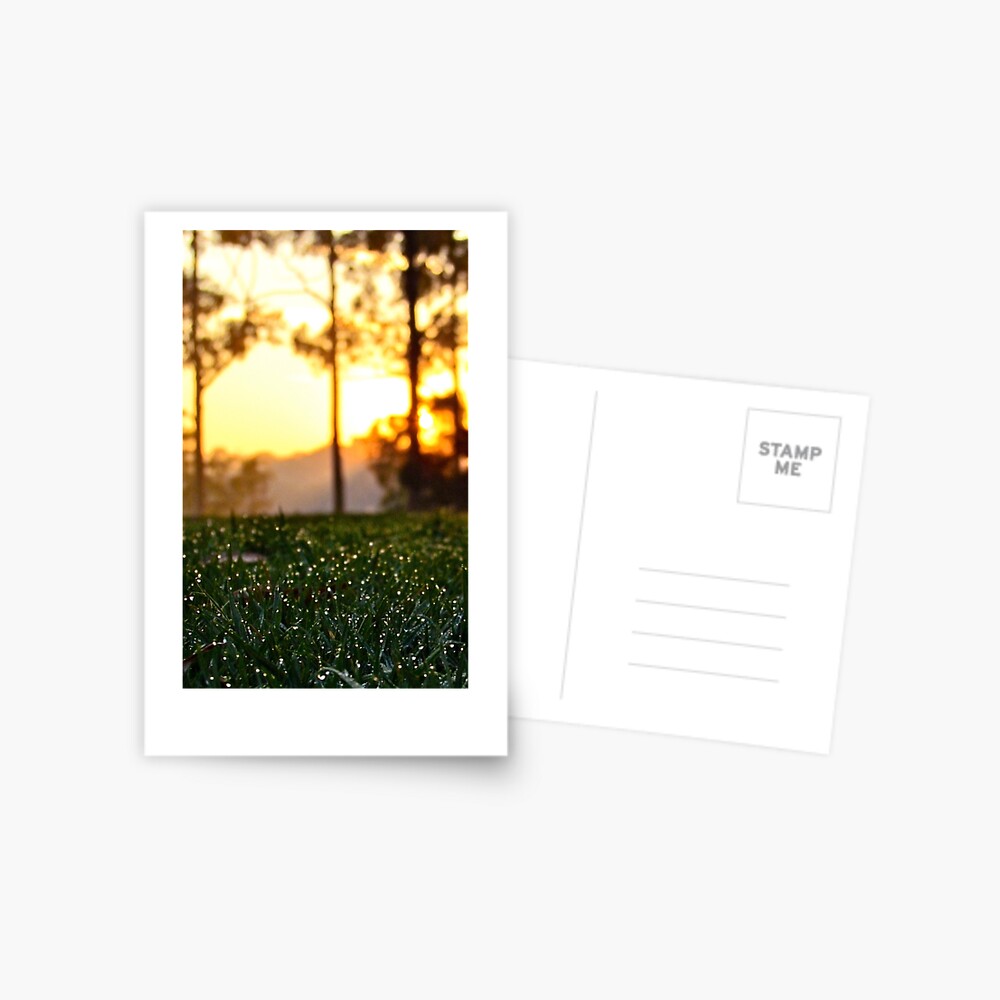 Item preview, Postcard designed and sold by csenior.