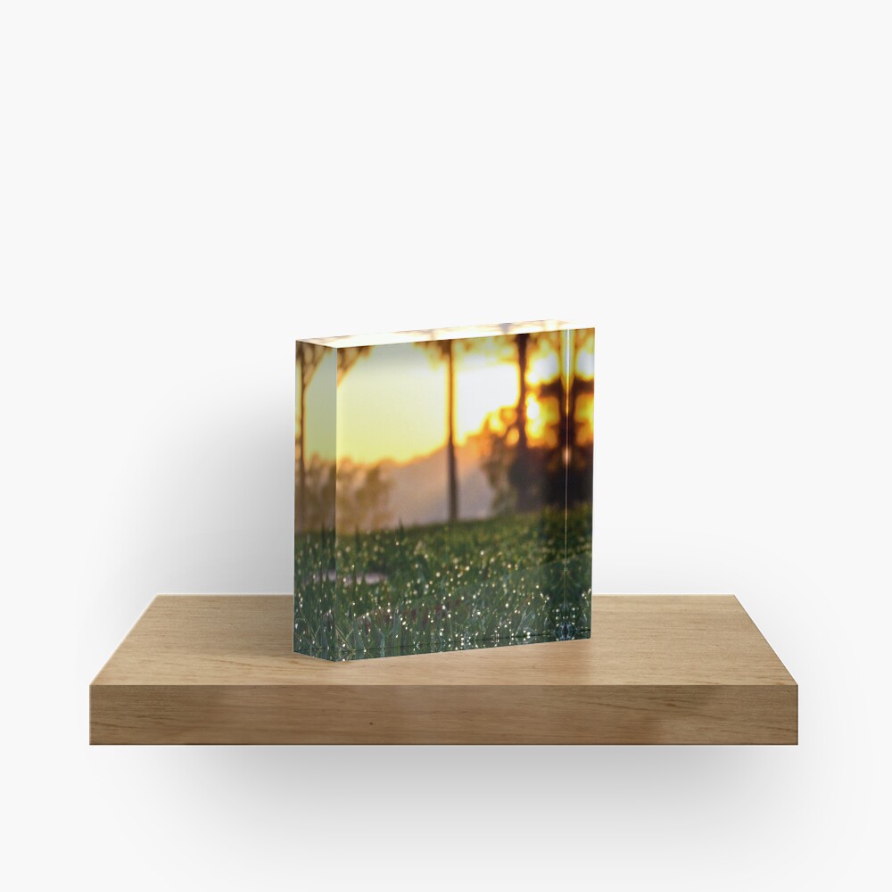 Item preview, Acrylic Block designed and sold by csenior.