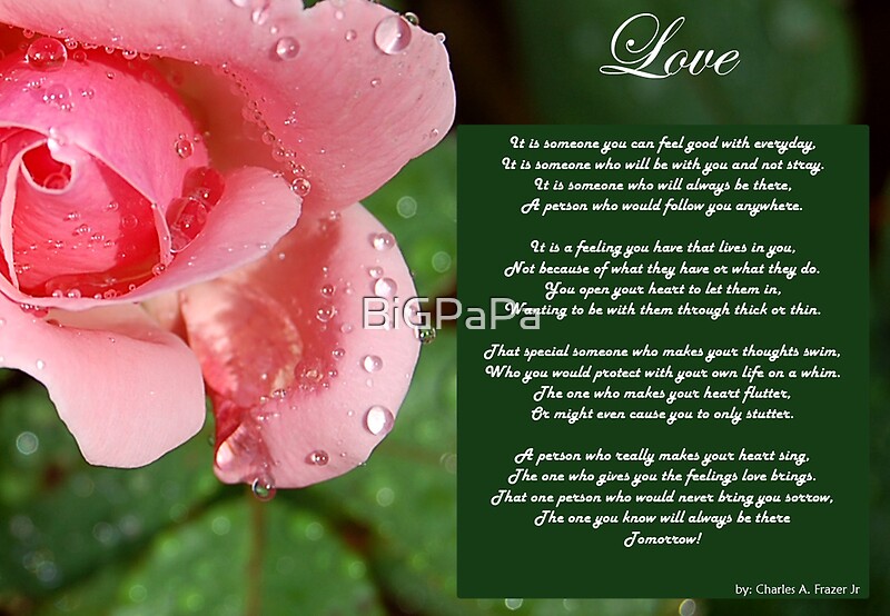 “Pink rose with Love poem” by BiGPaPa | Redbubble