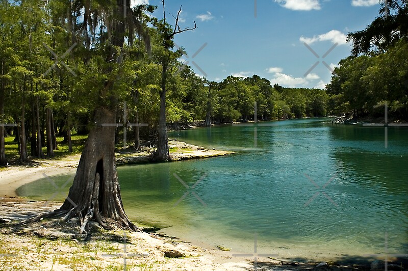 "River Beach, Santa Fe River, north Florida" by Stacey Lynn Payne Redbubble
