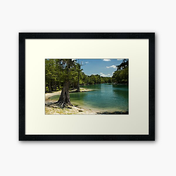 River Beach, Santa Fe River, north Florida Framed Art Print