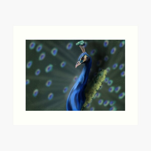Peacock portrait Art Print