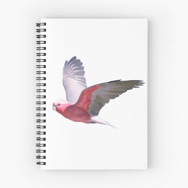 Item preview, Cheeky galah, Beautiful galah, pink and grey parrot, flying galah with a cheeky grin. designed and sold by PlumpPlumStudio.