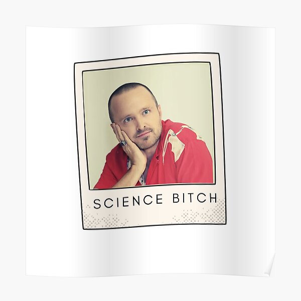 Bitch Jesse Pinkman Breaking Bad Christmas Ornament/Magnet/DHM/Wall Decor Art 