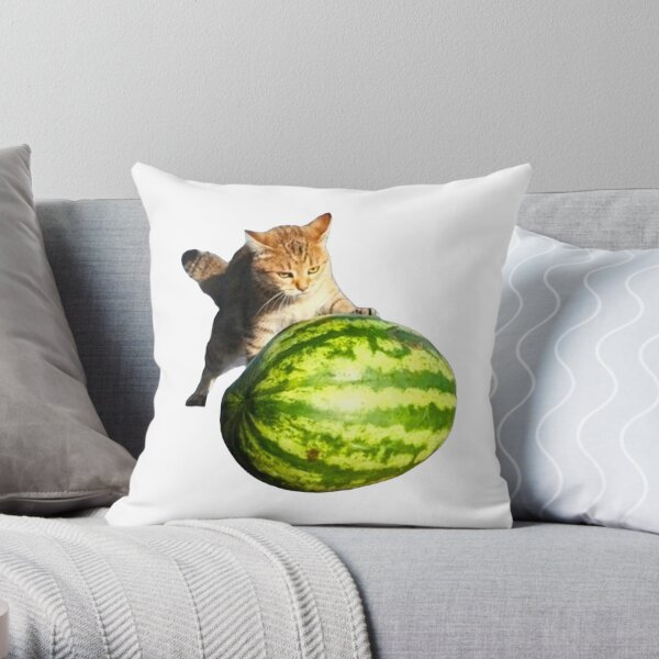 Watermelon hotsell throw pillow