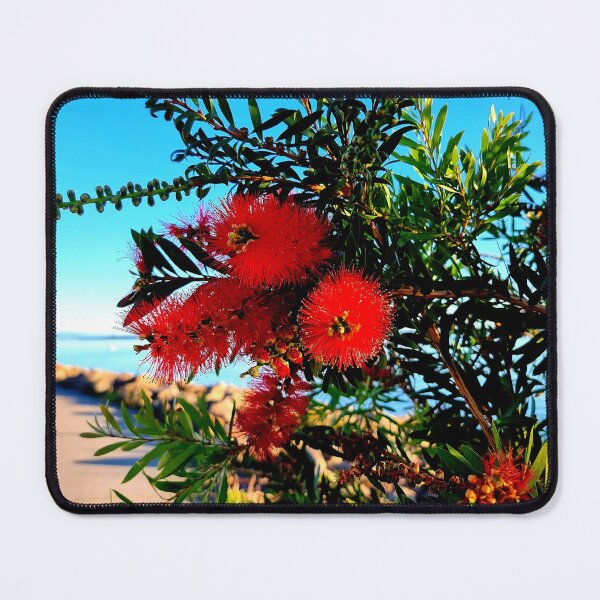 Item preview, RED BOTTLE BRUSH designed and sold by Steffi August.