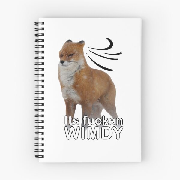 Item preview, Its fucken WIMDY - It is fucken WIMDY meme Chiffon Top designed and sold by SheetalKibe.
