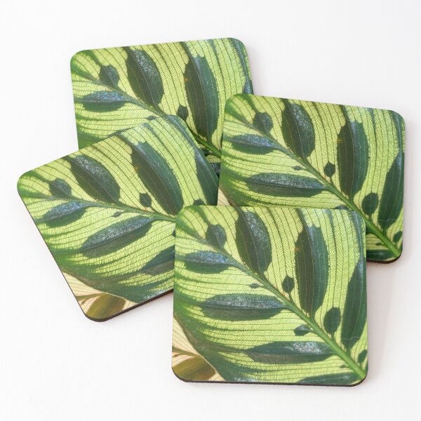 Item preview, Calathea Makoyana Peacock Plant Nature Photo Design designed and sold by TacoRose.