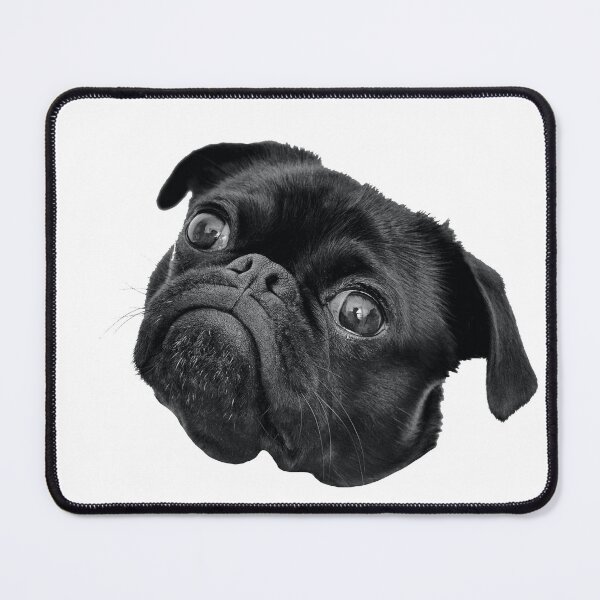 Item preview, Cute Black Pug designed and sold by Doodle-Factory.