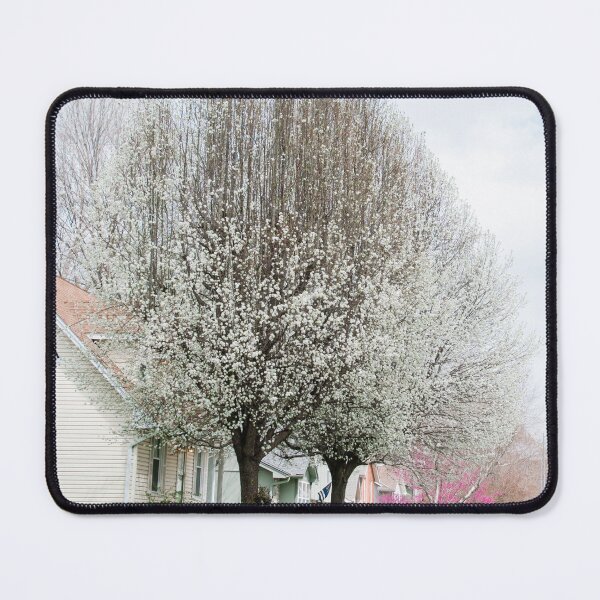 Item preview, Spring Walk designed and sold by Carly-Chapman.