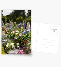 Flowers in Versailles Postcards