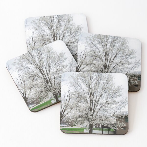 Item preview, Cornus florida designed and sold by Carly-Chapman.