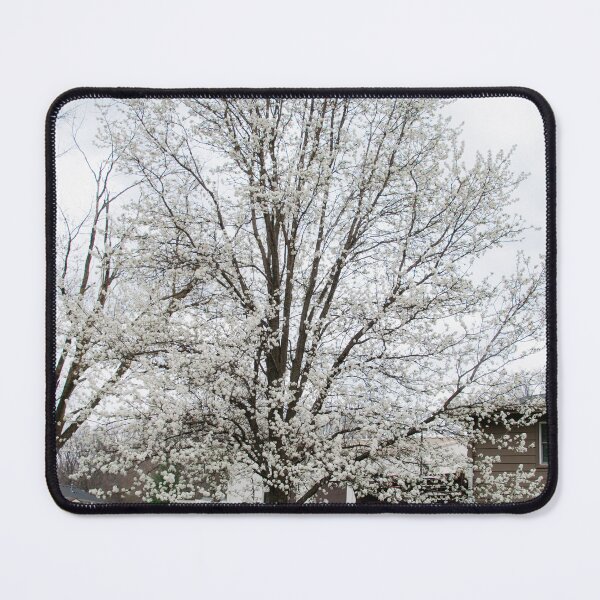 Item preview, Cornus florida designed and sold by Carly-Chapman.