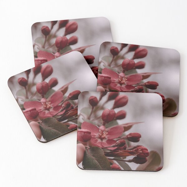 Item preview, Spring Has Sprung designed and sold by Carly-Chapman.