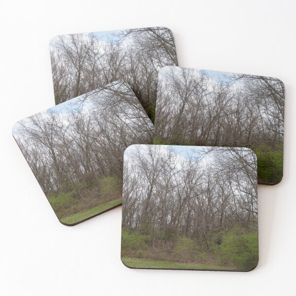 Item preview, Wooded Area designed and sold by Carly-Chapman.