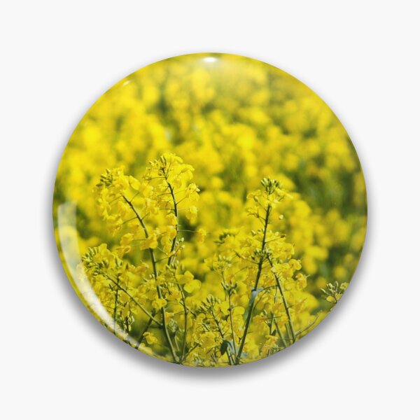 Item preview, canola field designed and sold by markspics.
