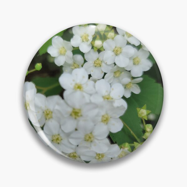 Item preview, Wildflowers blooming on the hillside of the Gwangju Yeongsan River,korea designed and sold by human8891.