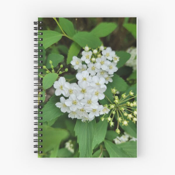 Item preview, Wildflowers blooming on the hillside of the Gwangju Yeongsan River,korea designed and sold by human8891.