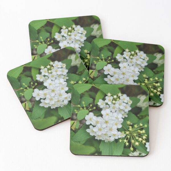 Item preview, Wildflowers blooming on the hillside of the Gwangju Yeongsan River,korea designed and sold by human8891.
