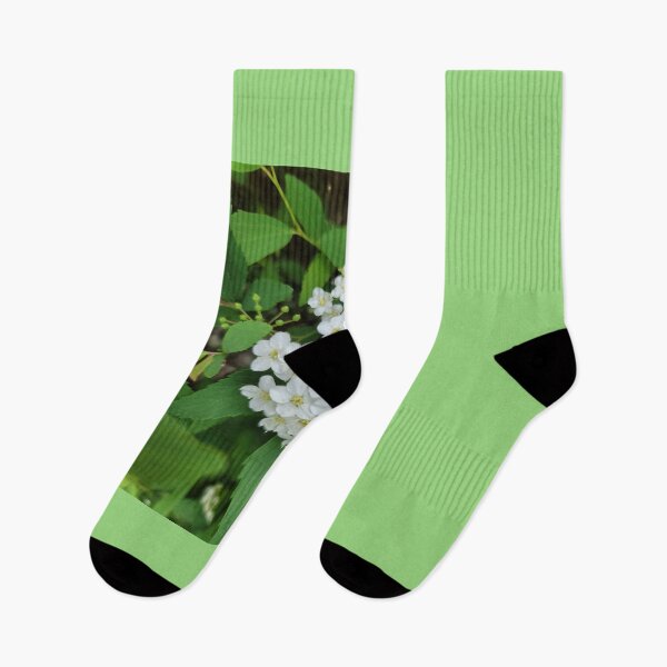 Item preview, Wildflowers blooming on the hillside of the Gwangju Yeongsan River,korea designed and sold by human8891.