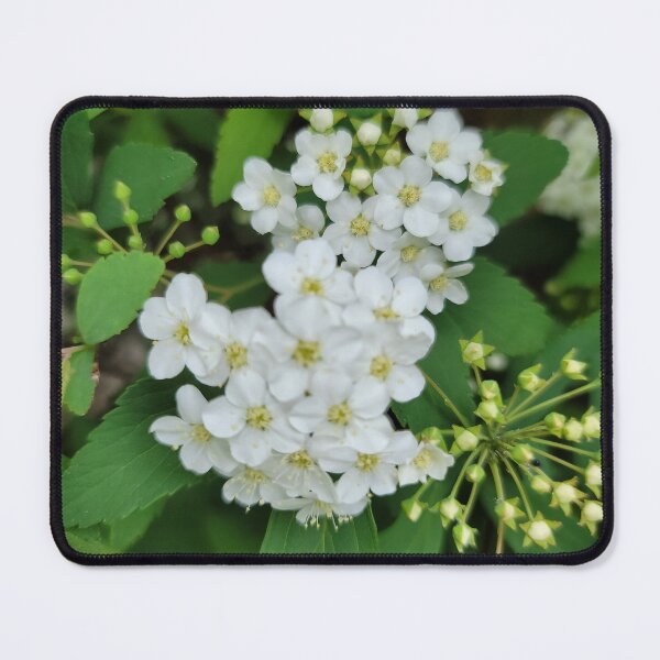Item preview, Wildflowers blooming on the hillside of the Gwangju Yeongsan River,korea designed and sold by human8891.