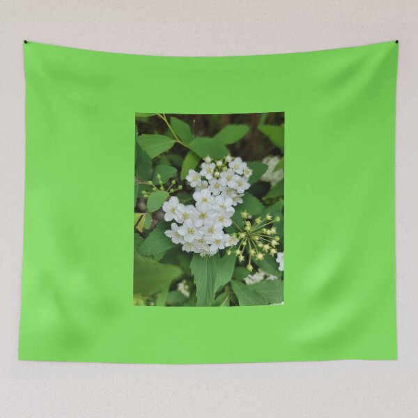 Item preview, Wildflowers blooming on the hillside of the Gwangju Yeongsan River,korea designed and sold by human8891.