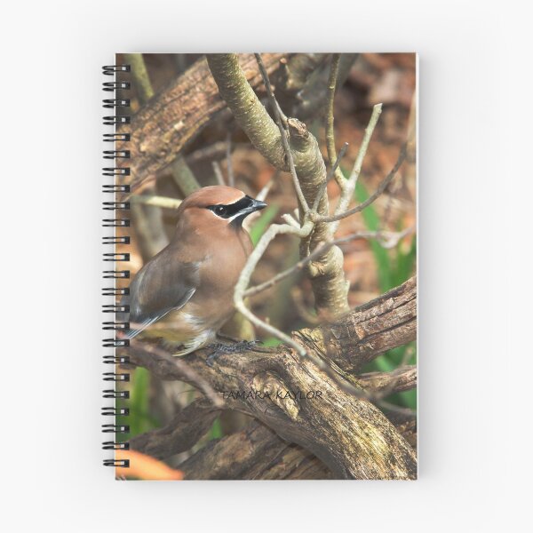 Item preview, Cedar Waxwing 3 designed and sold by Tamara  Kaylor.