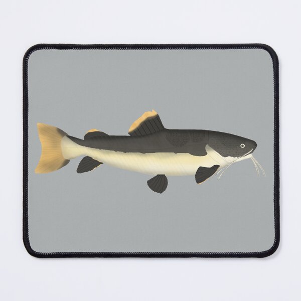 Item preview, Redtail Catfish designed and sold by fishfolkart.