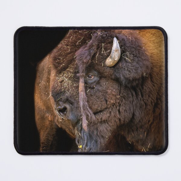 Item preview, American bison designed and sold by leobrix.