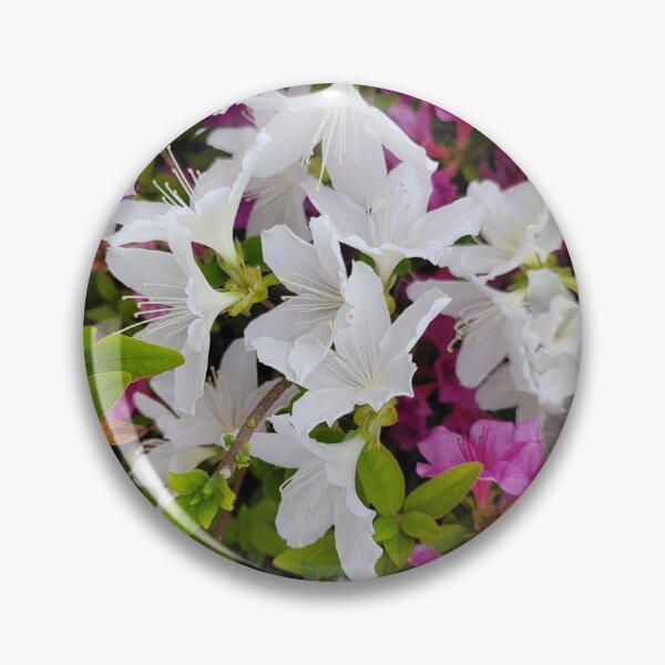 Item preview, Beautiful azaleas blooming flowers on the hillside of the Gwangju Yeongsan River,korea designed and sold by human8891.