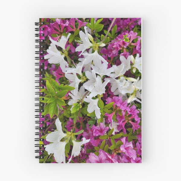 Item preview, Beautiful azaleas blooming flowers on the hillside of the Gwangju Yeongsan River,korea designed and sold by human8891.